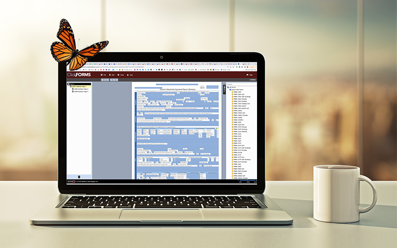 analytic-laptop-olp-butterfly.jpg