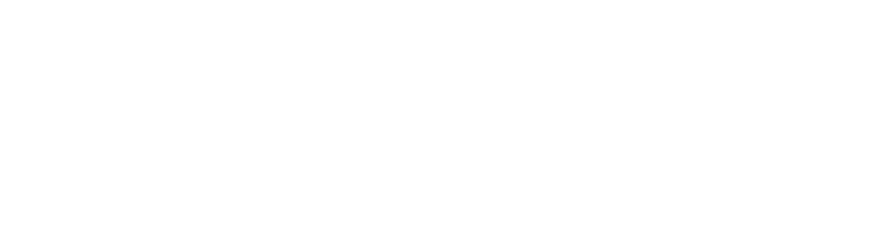 NightHawk Logo
